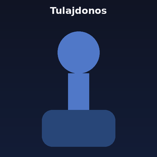Tulajdonos